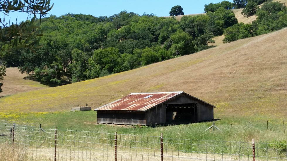 cooley_barn_in_field